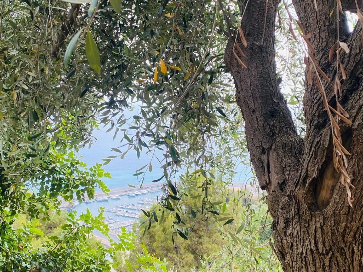 “Da Senso” Relax Nel Verde Vista Mare 菲纳莱利古雷 外观 照片