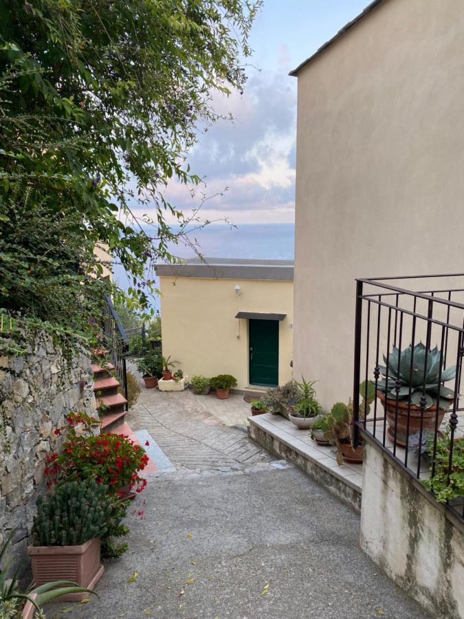 “Da Senso” Relax Nel Verde Vista Mare 菲纳莱利古雷 外观 照片